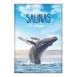 SAL-3 - Magneto Metálico Rectangular