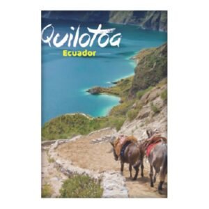 TOA-4 - Magneto Metálico Rectangular