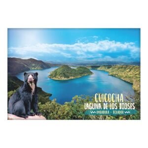 VOL-5 - Magneto Metálico Rectangular